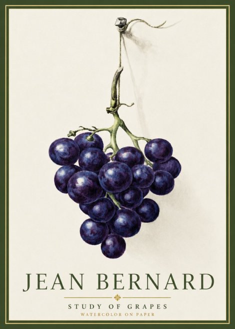 Jean Bernard Grapes No5 - Plakát