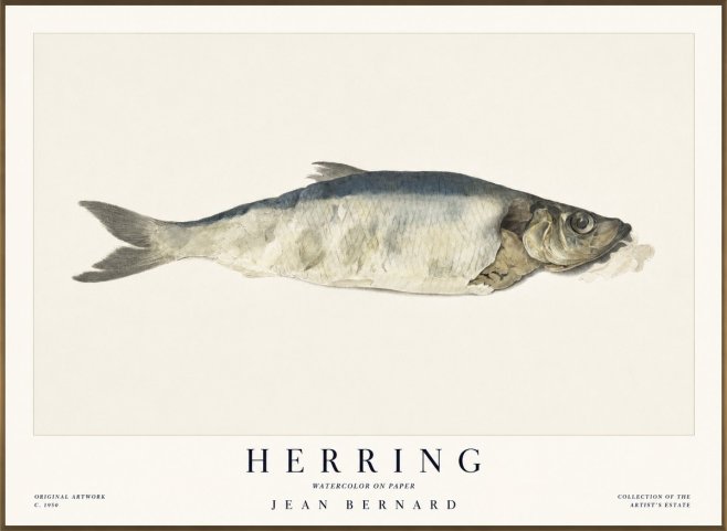 Jean Bernard Herring No1 - Plakát