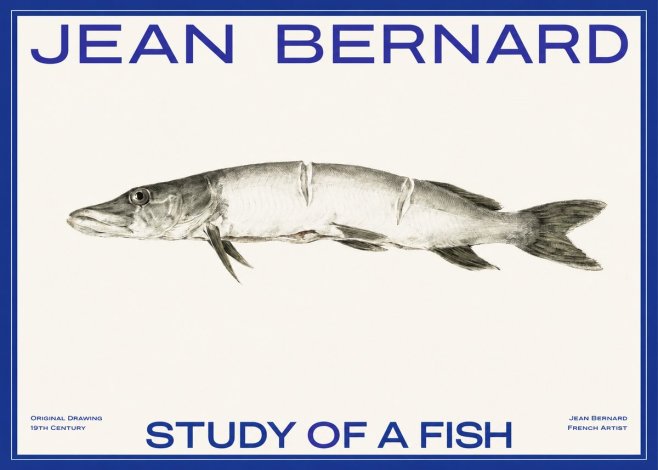 Jean Bernard Study of a Fish II No2 - Plakát
