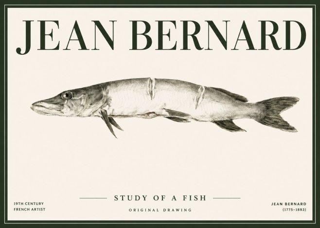 Jean Bernard Study of a Fish II No4 - Plakát