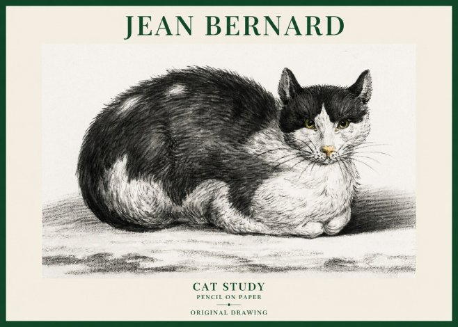 Jean Bernard Cat Study II No6 - Plakát