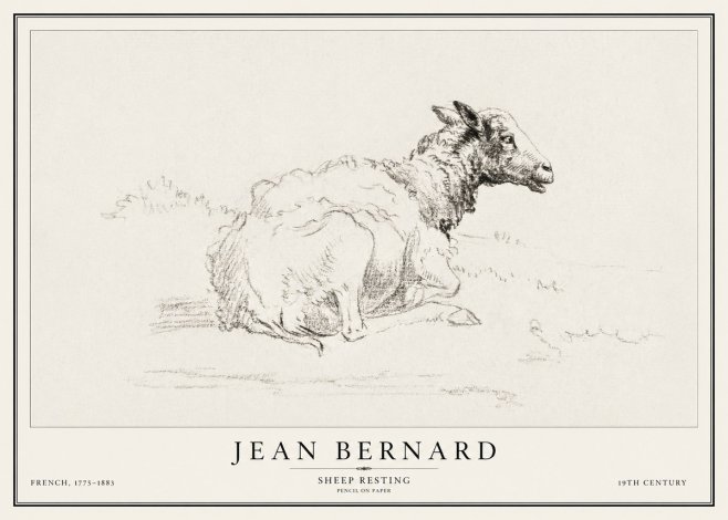 Jean Bernard Sheep Resting No1 - Plakát