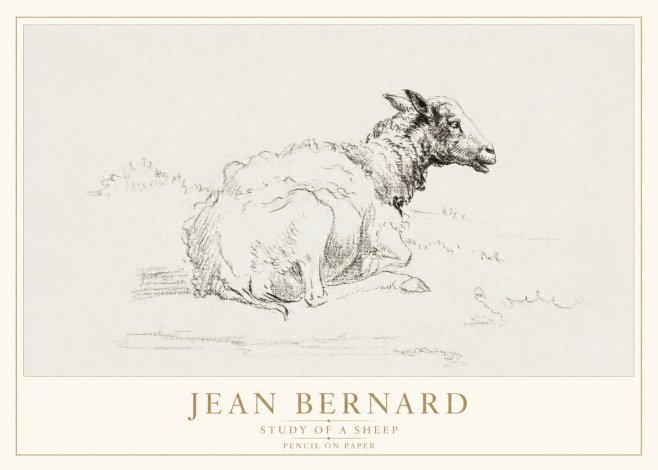 Jean Bernard Sheep Resting No4 - Plakát