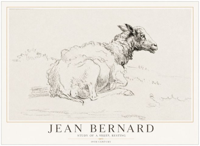 Jean Bernard Sheep Resting No5 - Plakát