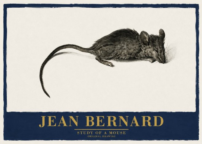 Jean Bernard Study of a Mouse I No2 - Plakát