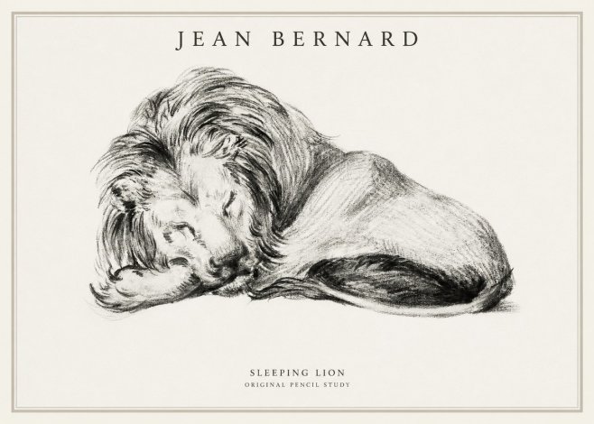 Jean Bernard Sleeping Lion No1 - Plakát