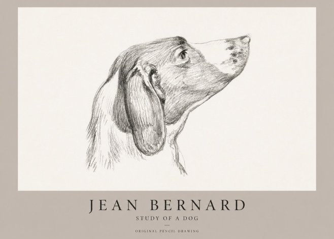 Jean Bernard Study of a Dog I No1 - Plakát