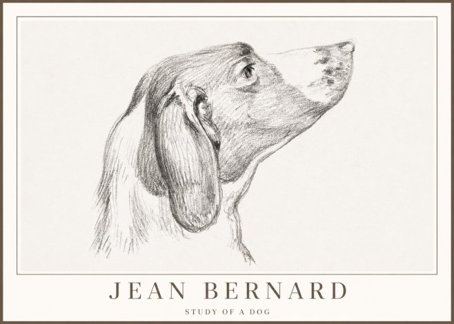 Jean Bernard Study of a Dog I No2 - Plakát