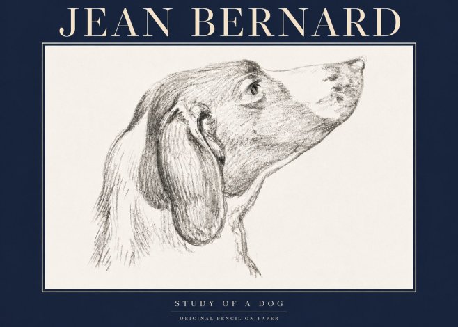 Jean Bernard Study of a Dog I No4 - Plakát