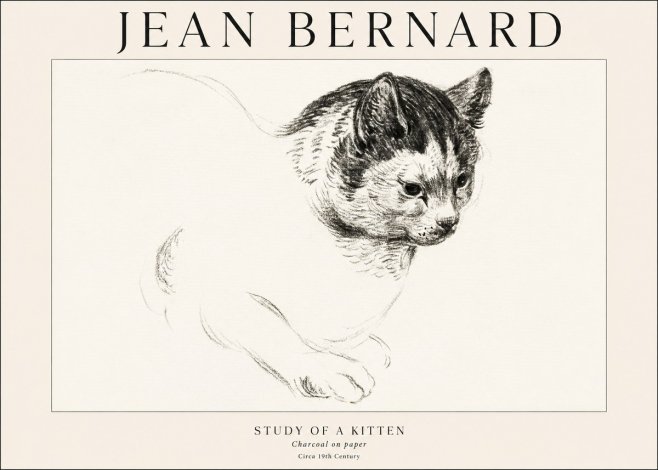 Jean Bernard Study of a Kitten I No1 - Plakát