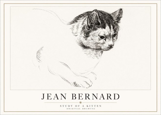 Jean Bernard Study of a Kitten I No5 - Plakát