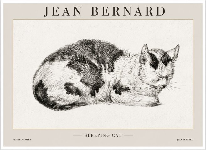 Jean Bernard Sleeping Cat I No1 - Plakát
