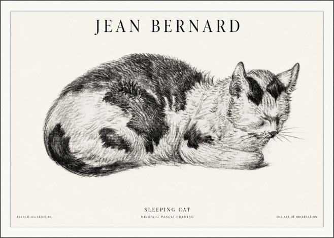 Jean Bernard Sleeping Cat I No5 - Plakát