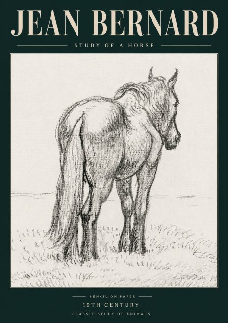 Jean Bernard Study of a Horse II No5 - Plakát