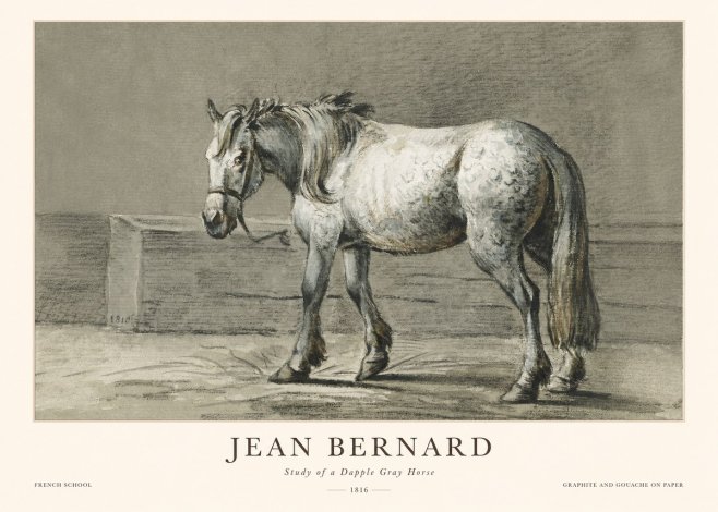 Jean Bernard Study of a Dapple Gray Horse No1 - Plakát