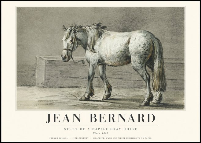 Jean Bernard Study of a Dapple Gray Horse No3 - Plakát