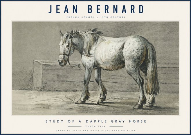 Jean Bernard Study of a Dapple Gray Horse No6 - Plakát