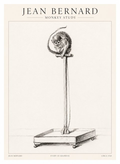 Jean Bernard Monkey Study No1 - Plakát