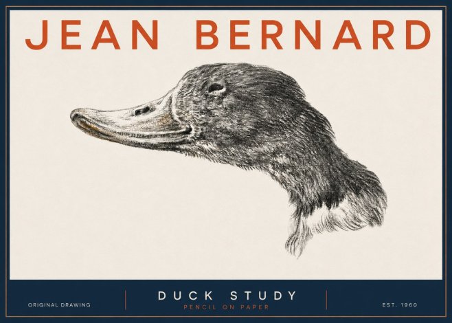 Jean Bernard Study of a Duck No5 - Plakát