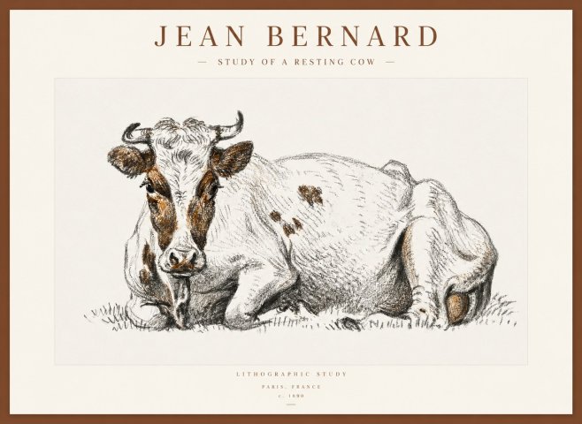 Jean Bernard Study of a Resting Cow III No1 - Plakát