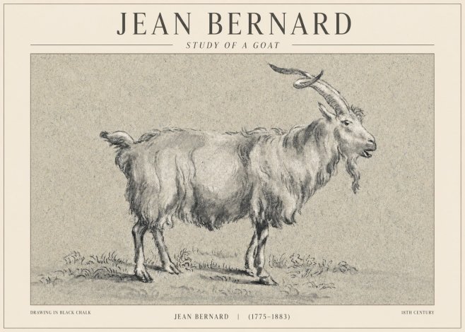 Jean Bernard Study of a Goat II No1 - Plakát