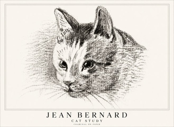 Jean Bernard Cat Study III No1 - Plakát