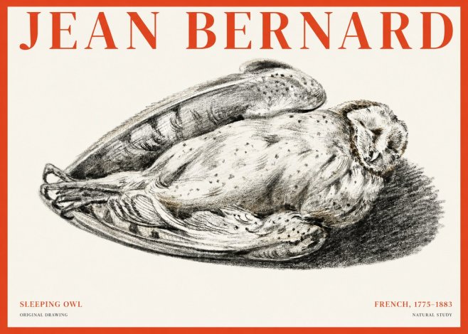 Jean Bernard Sleeping Owl No1 - Plakát