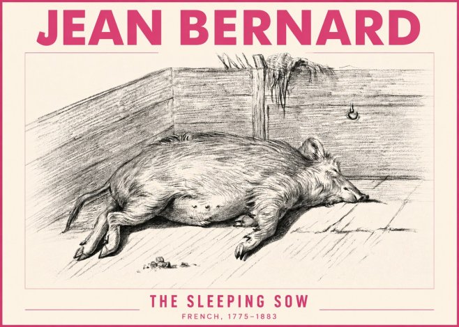 Jean Bernard The Sleeping Sow No3 - Plakát