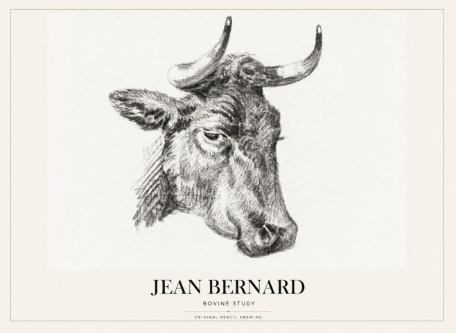 Jean Bernard Bovine Study I No1 - Plakát