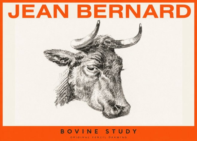Jean Bernard Bovine Study I No2 - Plakát