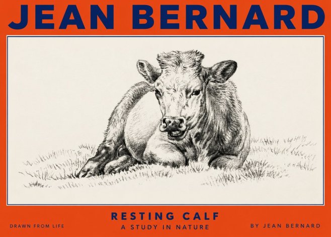 Jean Bernard Resting Calf I No2 - Plakát
