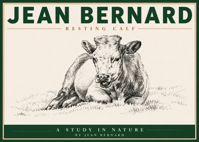 Jean Bernard Resting Calf I No5 - Plakát