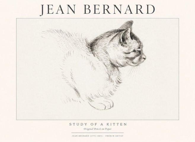 Jean Bernard Study of a Kitten II No1 - Plakát
