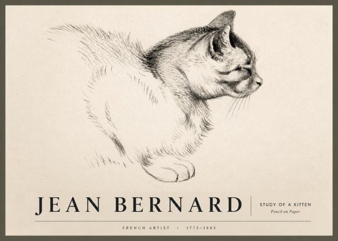 Jean Bernard Study of a Kitten II No2 - Plakát