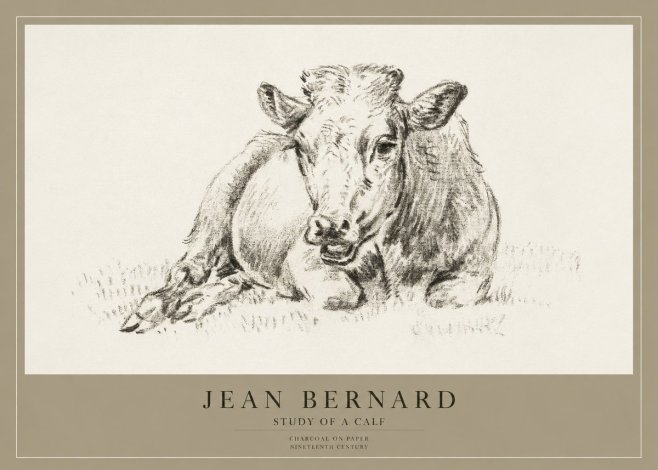 Jean Bernard Resting Calf II No4 - Plakát