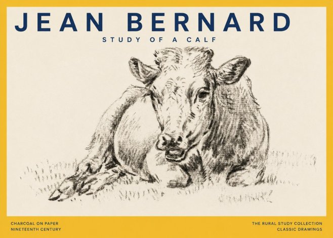 Jean Bernard Resting Calf II No5 - Plakát