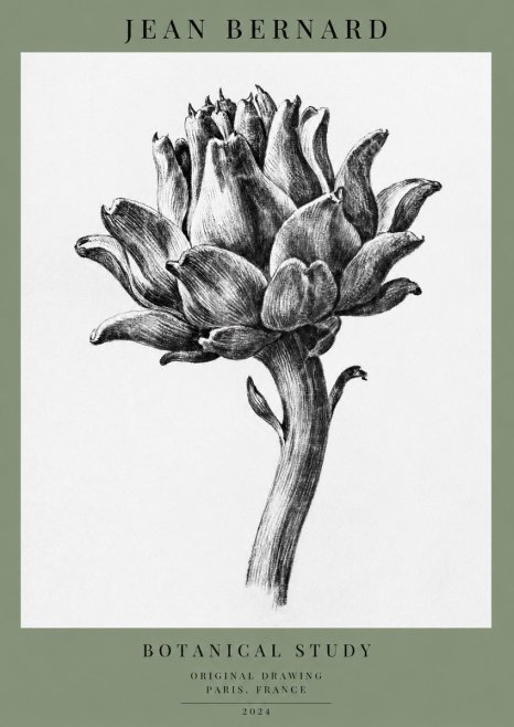 Jean Bernard Botanical Study No1 - Plakát