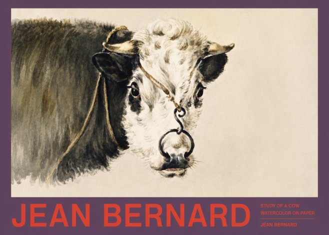 Jean Bernard Study of a Cow I No2 - Plakát