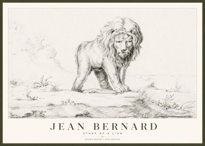 Jean Bernard Study of a Lion I No1 - Plakát