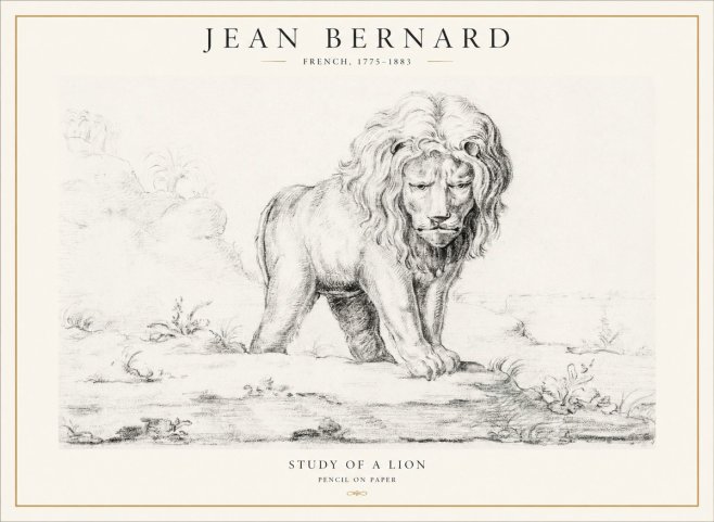 Jean Bernard Study of a Lion I No4 - Plakát