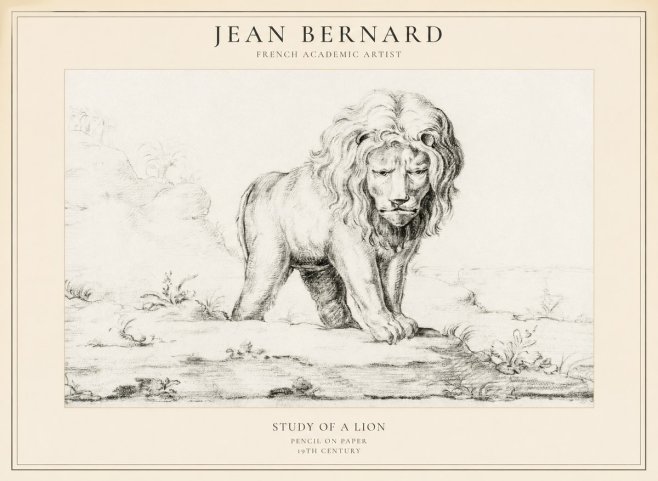 Jean Bernard Study of a Lion I No5 - Plakát