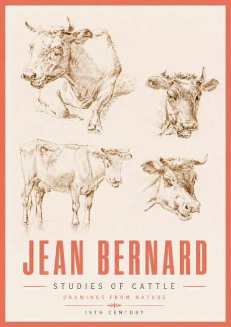 Jean Bernard Studies of Cattle II No5 - Plakát
