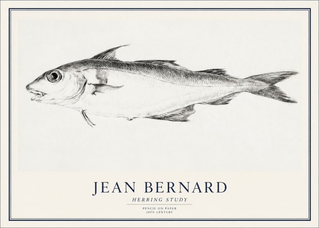 Jean Bernard Herring Study No1 - Plakát