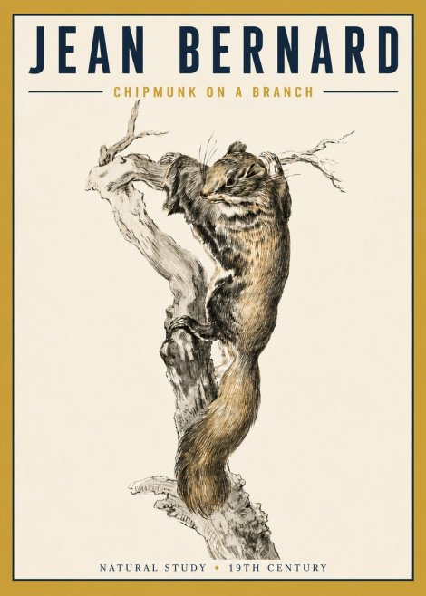 Jean Bernard Study of a Squirrel Climbing a Branch No5 - Plakát