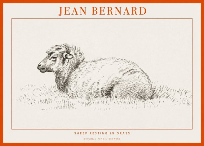 Jean Bernard Sheep Resting in Grass No1 - Plakát