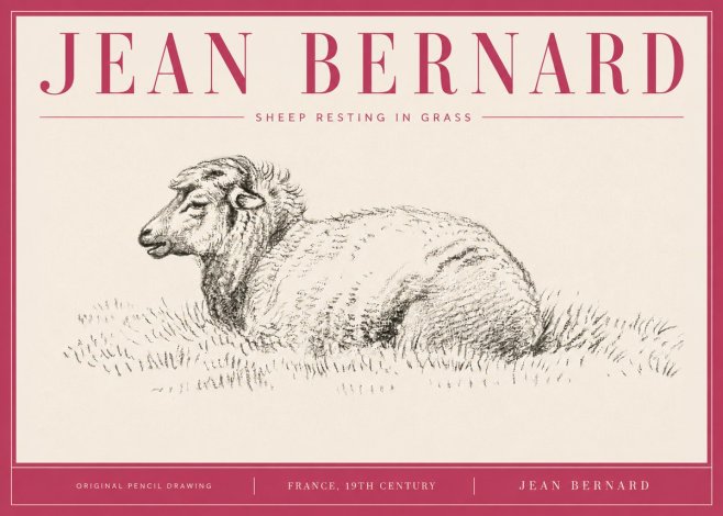 Jean Bernard Sheep Resting in Grass No4 - Plakát