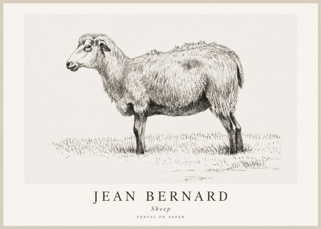 Jean Bernard Sheep No1 - Plakát