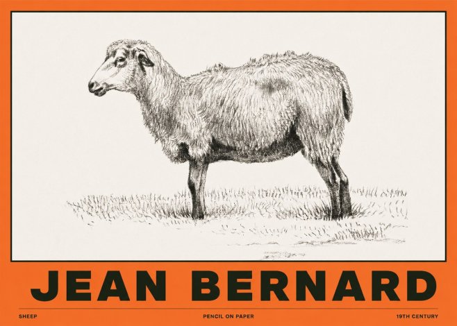 Jean Bernard Sheep No2 - Plakát