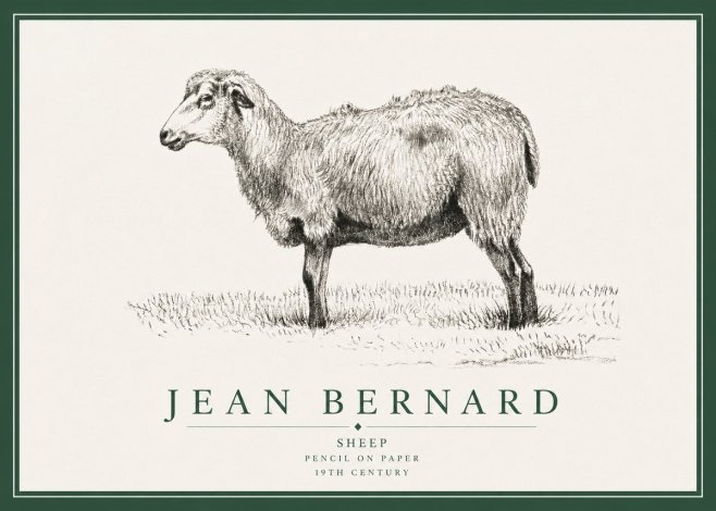 Jean Bernard Sheep No3 - Plakát
