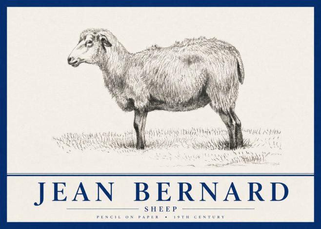 Jean Bernard Sheep No4 - Plakát